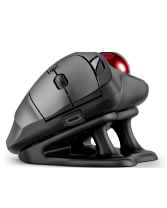 Collection of  in a gallery layout