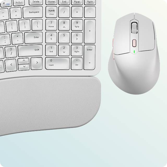 Collection of  in a gallery layout