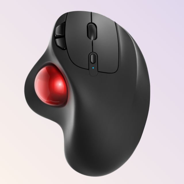 Collection of  in a gallery layout