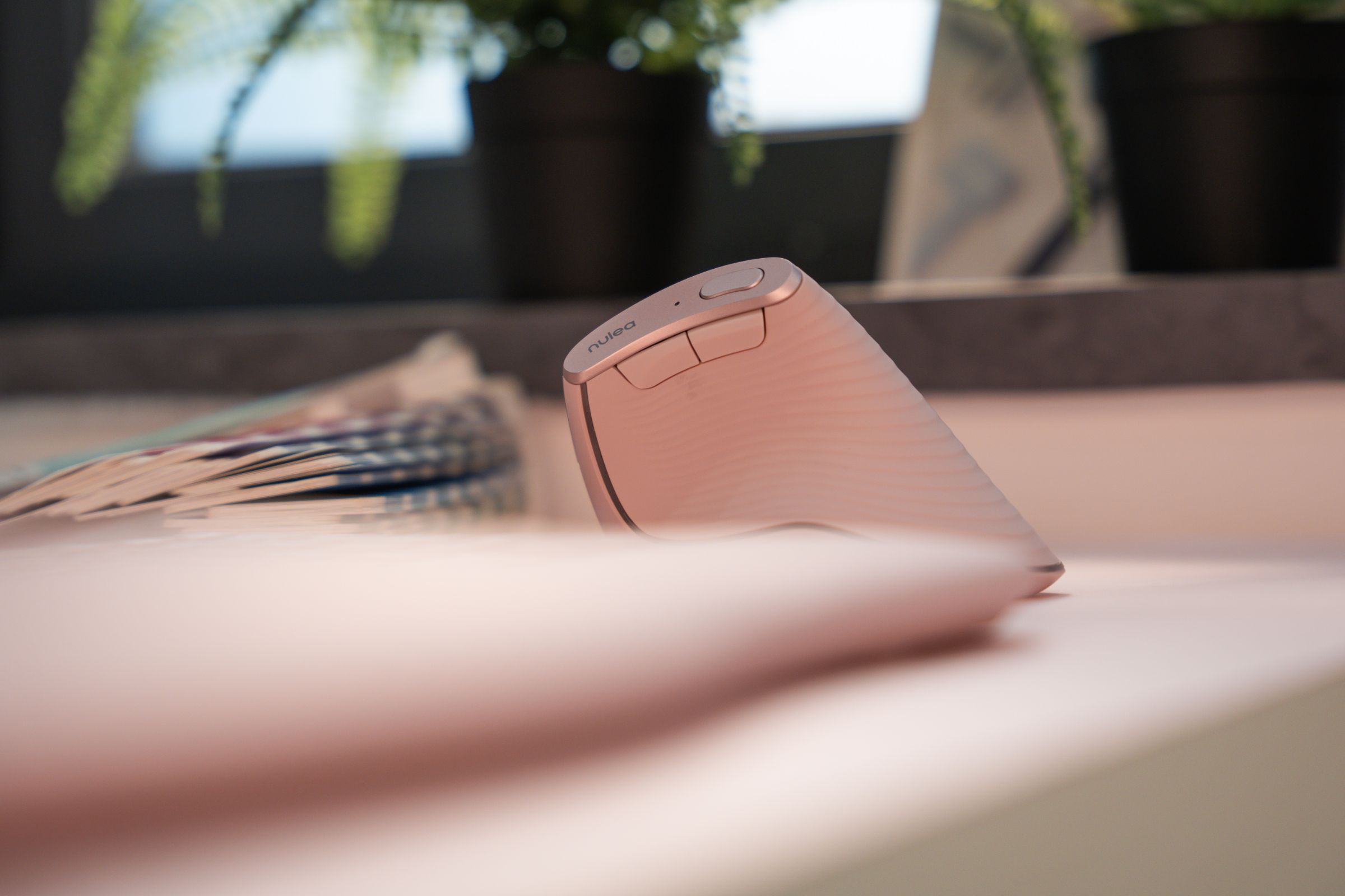 Collection of  in a gallery layout