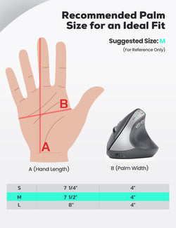 Collection of Nulea MD280 Wireless Vertical Mouse in a gallery layout