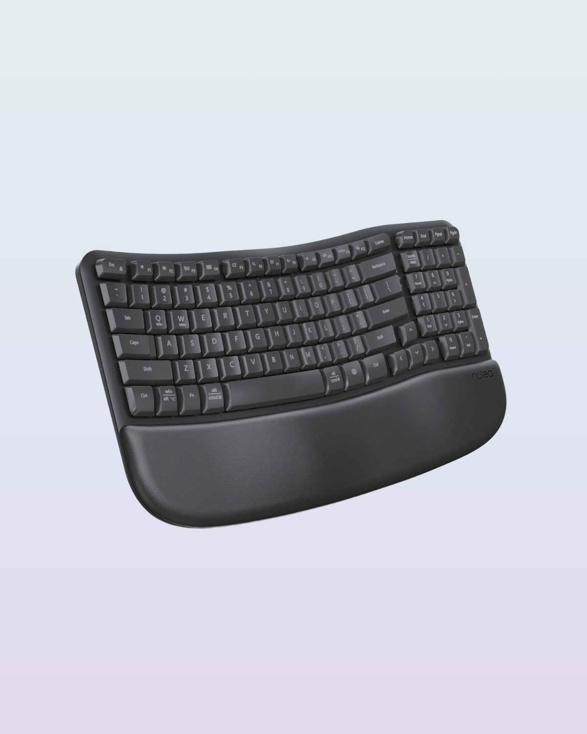 Collection of  in a gallery layout