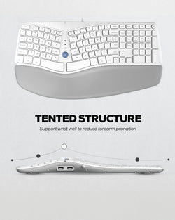 Collection of Nulea RT02 Ergonomic Keyboard in a gallery layout