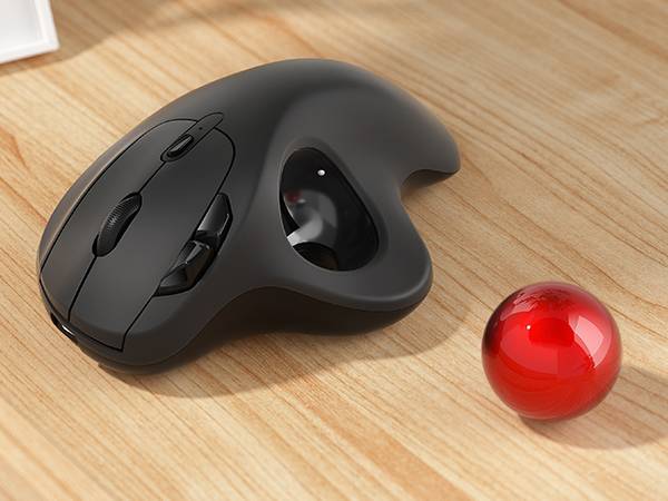 Collection of  in a gallery layout