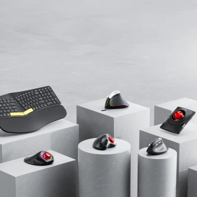 Collection of  in a gallery layout