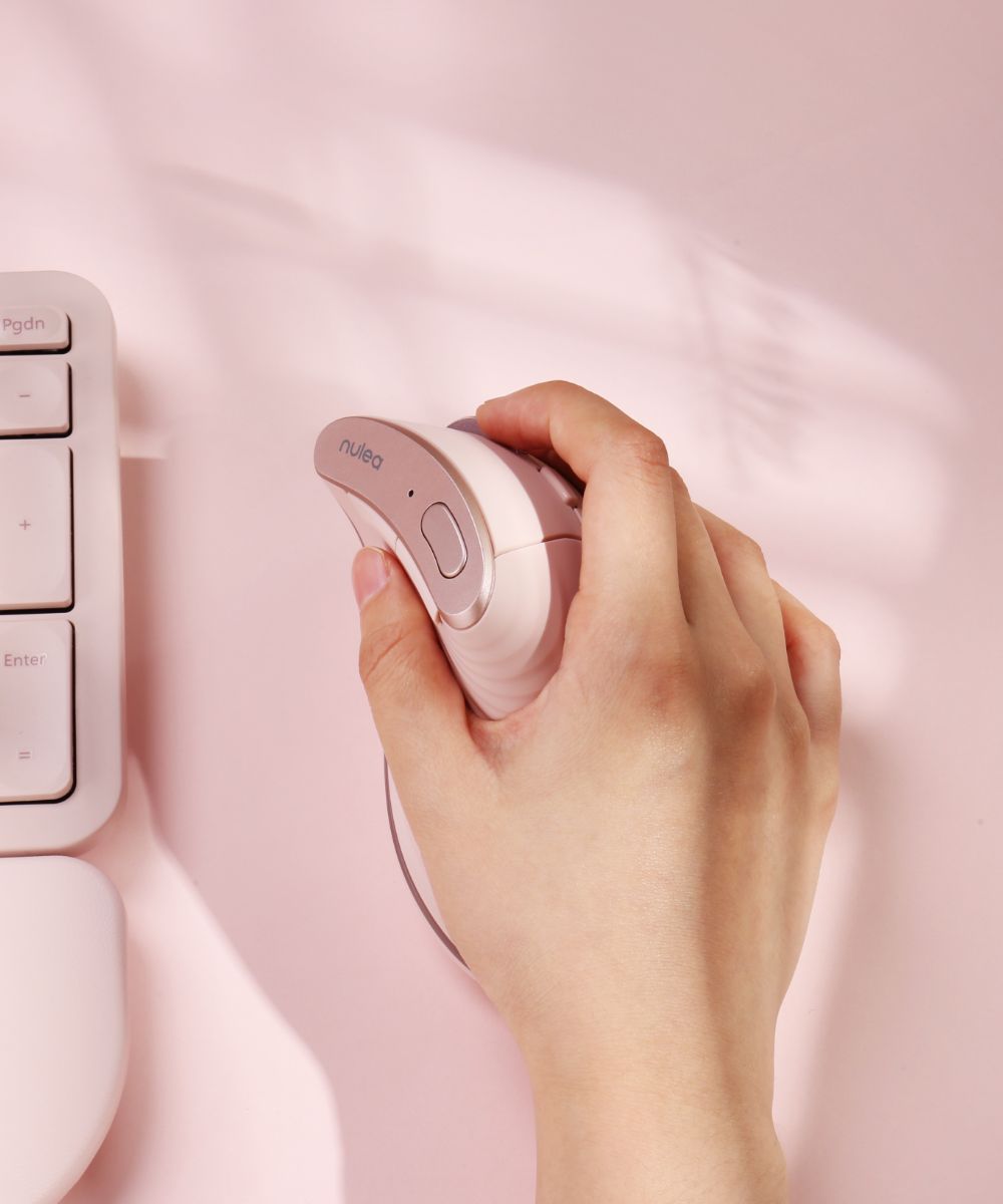 Collection of  in a gallery layout