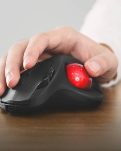Neulea Mouse Nulea M501 Wireless Trackball Mouse – nulea offical