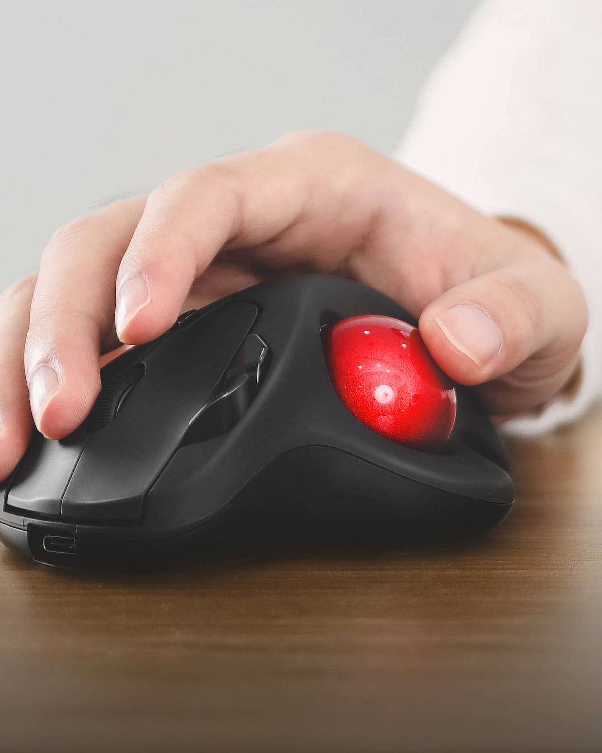 Collection of  in a gallery layout