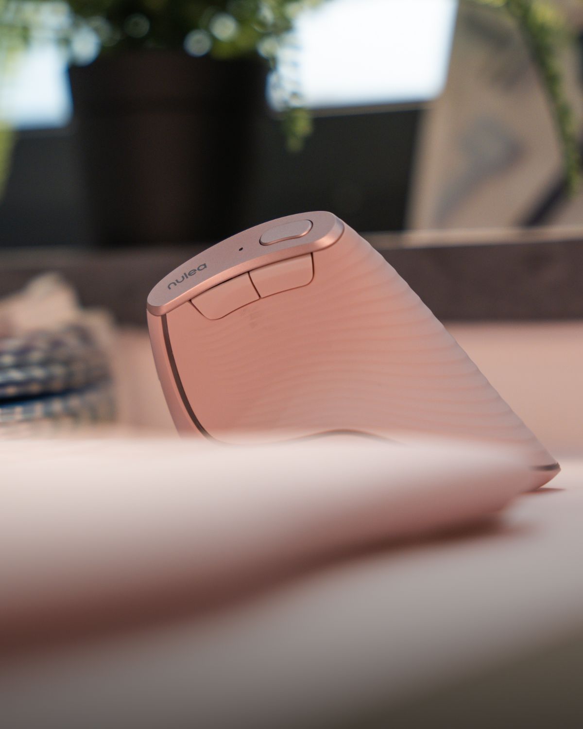 Collection of  in a gallery layout