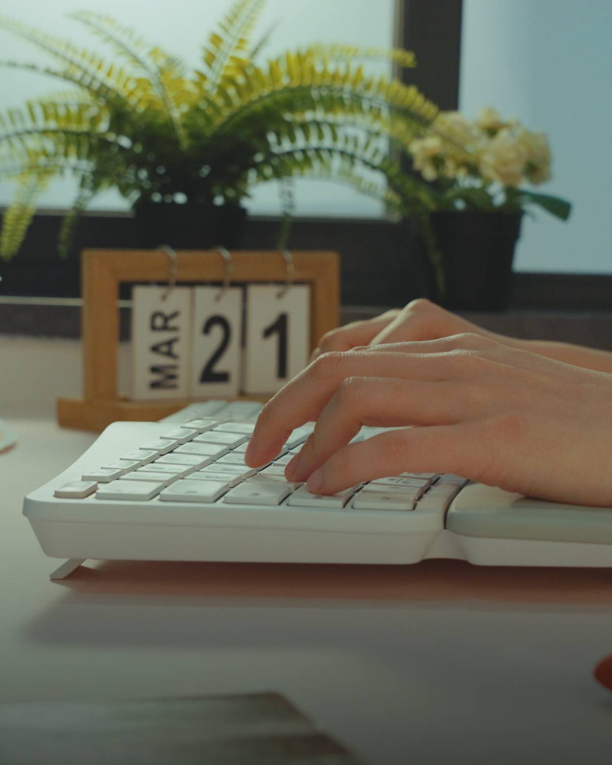 Collection of  in a gallery layout