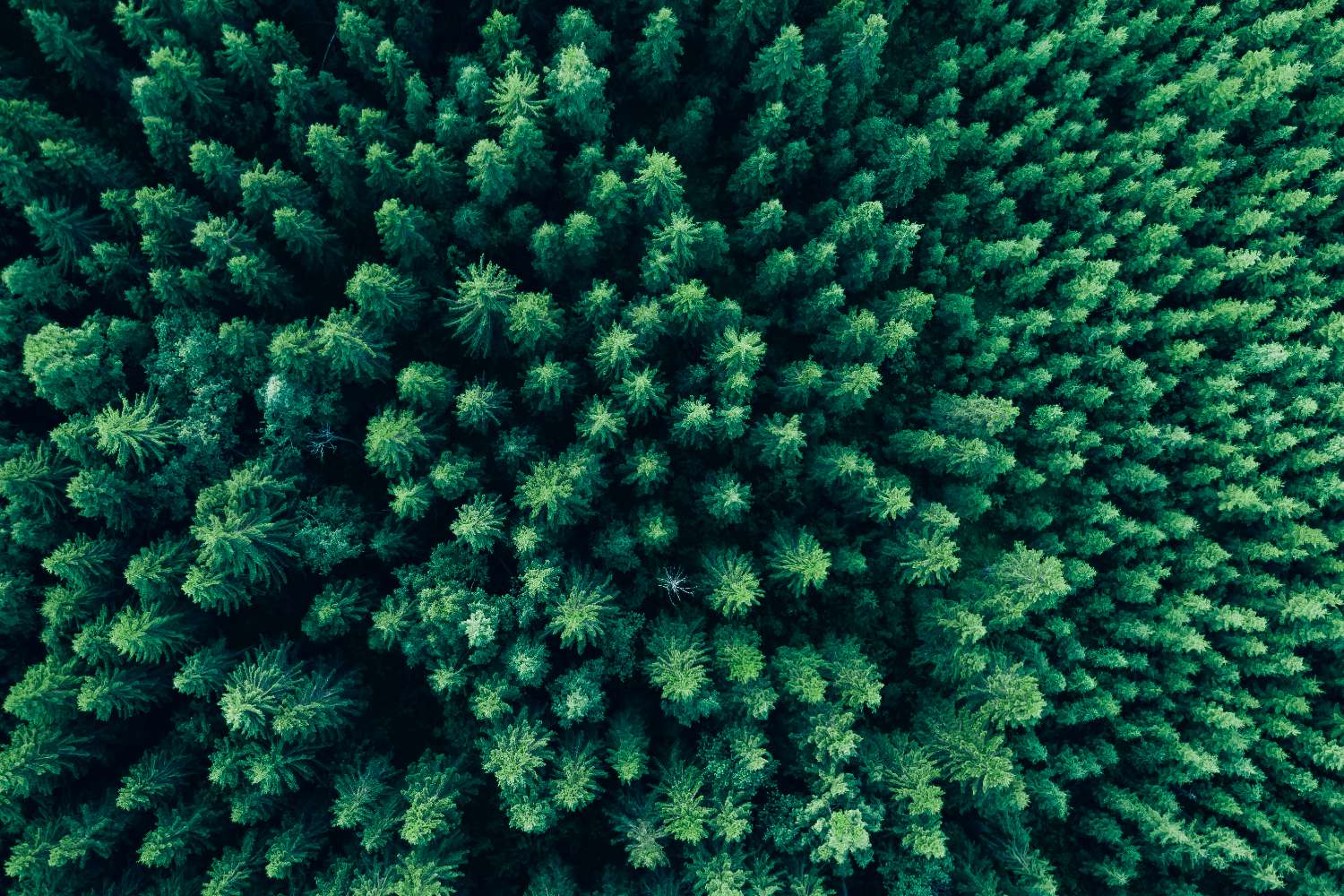 Collection of  in a gallery layout